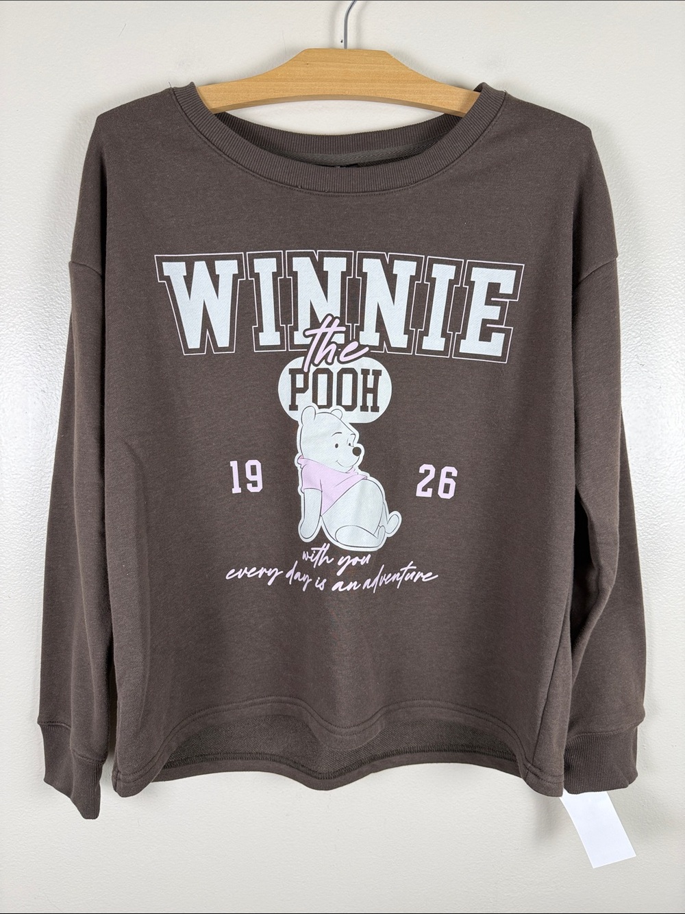 Winnie the Pooh Brown Graphic Sweatshirt. NEW. Large